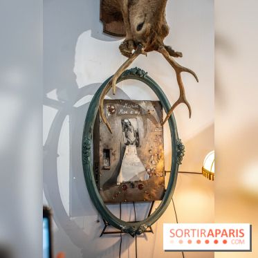 Exposition L'Electromécanomaniaque de Gilbert Peyre à la Halle Saint Pierre - DSC 1060