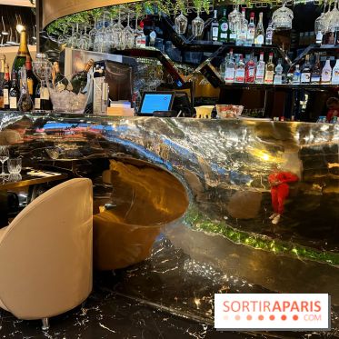 Moon Fusion - Décoration