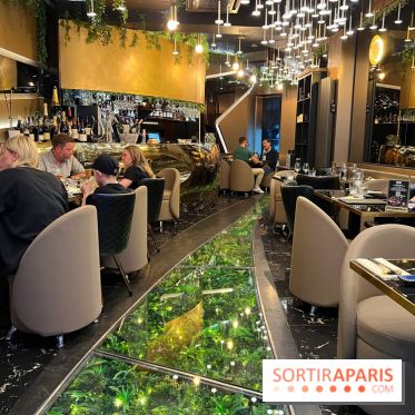 Moon Fusion - Décoration