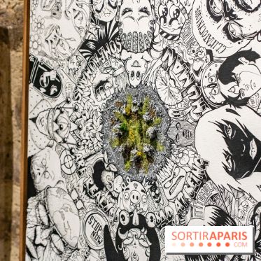 Street-art Madeleine, les photos -  A7C1897