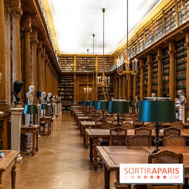 L'institut de France - les photos -  A7C2105 HDR