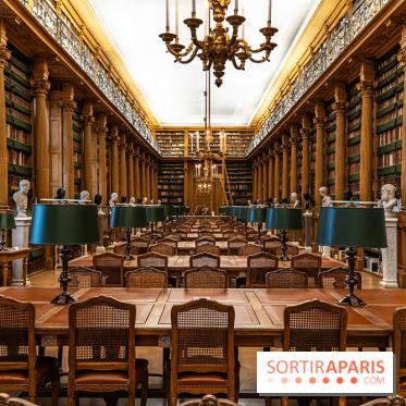 L'institut de France - les photos -  A7C2119 HDR