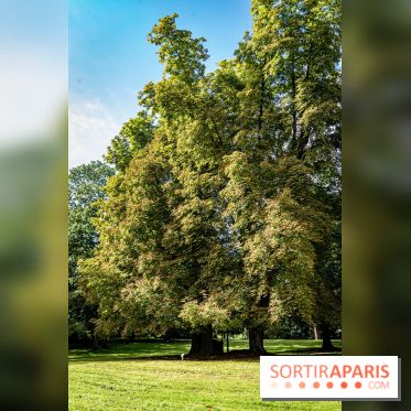 Le désert de Retz, le parc anglo-chinois insolite dans les Yvelines