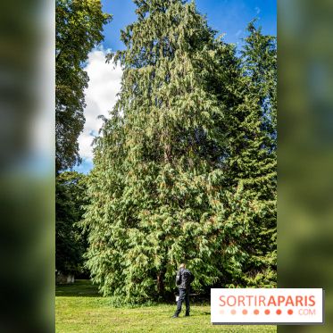 Le désert de Retz, le parc anglo-chinois insolite dans les Yvelines -  A7C2135