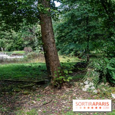 Le désert de Retz, le parc anglo-chinois insolite dans les Yvelines -  A7C2138