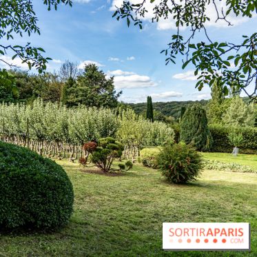 Le désert de Retz, le parc anglo-chinois insolite dans les Yvelines -  A7C2165