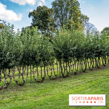Le désert de Retz, le parc anglo-chinois insolite dans les Yvelines -  A7C2167