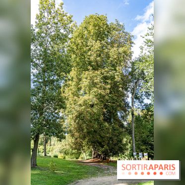 Le désert de Retz, le parc anglo-chinois insolite dans les Yvelines -  A7C2186