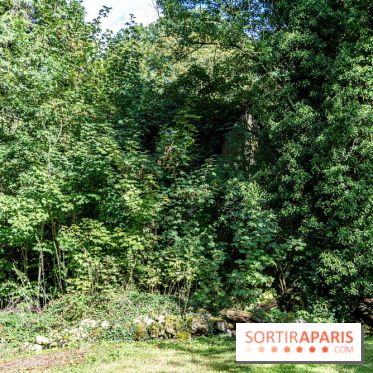 Le désert de Retz, le parc anglo-chinois insolite dans les Yvelines -  A7C2188