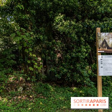 Le désert de Retz, le parc anglo-chinois insolite dans les Yvelines -  A7C2191