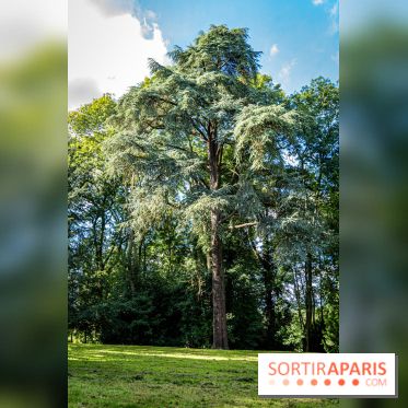 Le désert de Retz, le parc anglo-chinois insolite dans les Yvelines -  A7C2193