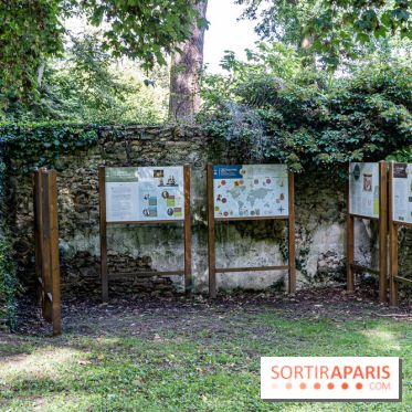 Le désert de Retz, le parc anglo-chinois insolite dans les Yvelines -  A7C2194