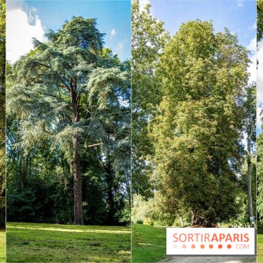 Le désert de Retz, le parc anglo-chinois insolite dans les Yvelines - 84ED8EA6 BBEF 4259 B500 E9CDDD3358B5