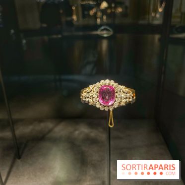 Divins Joyaux, à la recherche de la beauté - IMG 4598