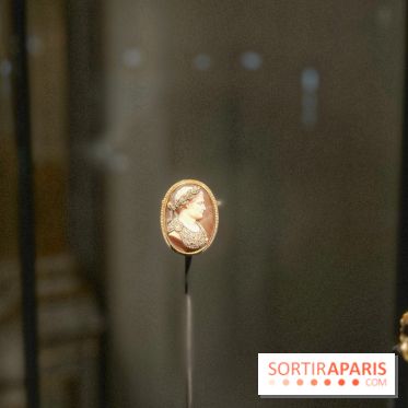 Divins Joyaux, à la recherche de la beauté