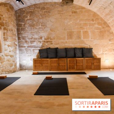 Maison Alaena, le repaire du bien-être à République - DSC 2037 2