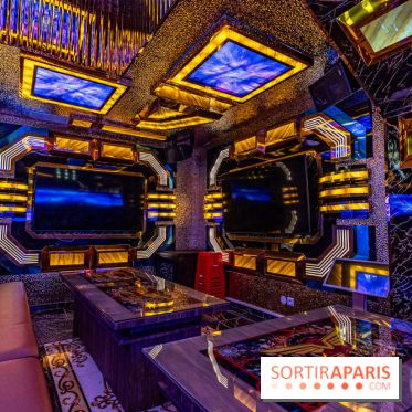 Viet 1331, le restaurant karaoké vietnamien immersif du 13e -  salle karaoké