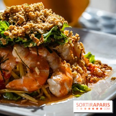 Viet 1331, le restaurant karaoké vietnamien immersif du 13e -  salade mangue et crevettes