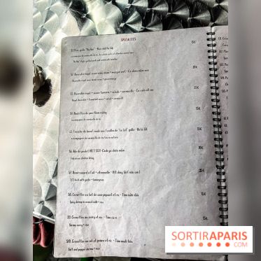 Viet 1331, le restaurant karaoké vietnamien immersif du 13e - menu - carte