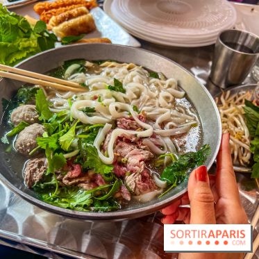 Viet 1331, le restaurant karaoké vietnamien immersif du 13e - Pho