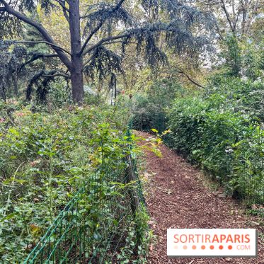 Square Sainte-Odile - nos photos - image00016