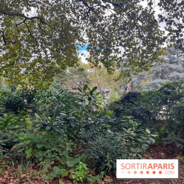 Square Sainte-Odile - nos photos - image00001