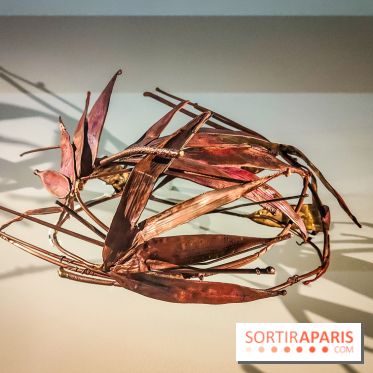 Les fleurs d'Yves Saint Laurent : l'exposition se dévoile en images au musée YSL - IMG20240919102948