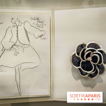 Les fleurs d'Yves Saint Laurent : l'exposition se dévoile en images au musée YSL - IMG20240919101231
