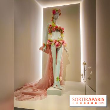 Les fleurs d'Yves Saint Laurent : l'exposition se dévoile en images au musée YSL - IMG20240919101301