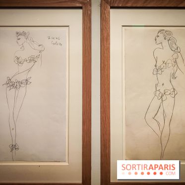 Les fleurs d'Yves Saint Laurent : l'exposition se dévoile en images au musée YSL - IMG20240919102906