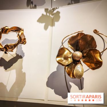 Les fleurs d'Yves Saint Laurent : l'exposition se dévoile en images au musée YSL - IMG20240919100609