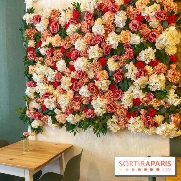 Sweet Intuition - IMG 3770