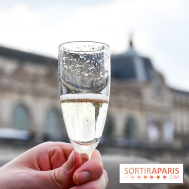 Une croisière privée en amoureux sur la Seine - DSC 2188