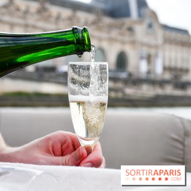 Une croisière privée en amoureux sur la Seine - DSC 2190