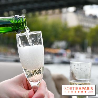 Une croisière privée en amoureux sur la Seine - DSC 2201