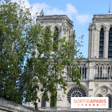 Une croisière privée en amoureux sur la Seine - DSC 2252