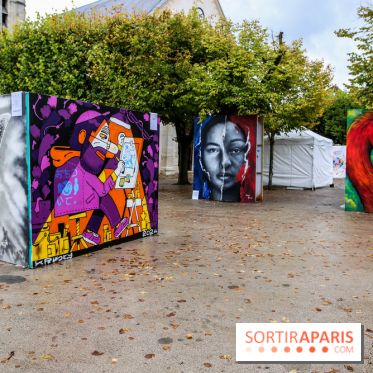 Festival de street art 2024 à Antony, nos photos - IMG 6039