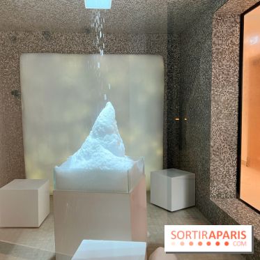 Dolce by Wyndham Versailles - Domaine du Montcel