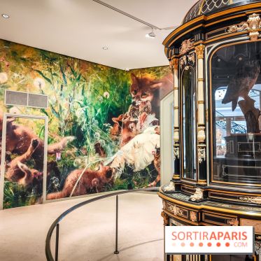 Bruno Liljefors, la Suède sauvage : l'exposition poétique se dévoile en images au Petit Palais - IMG20240930093920