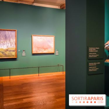 Bruno Liljefors, la Suède sauvage : l'exposition poétique se dévoile en images au Petit Palais - IMG20240930102545