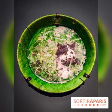 Bruno Liljefors, la Suède sauvage : l'exposition poétique se dévoile en images au Petit Palais