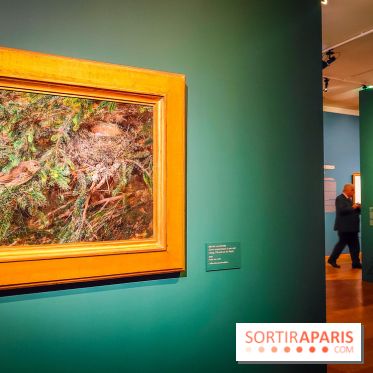 Bruno Liljefors, la Suède sauvage : l'exposition poétique se dévoile en images au Petit Palais - IMG20240930102510