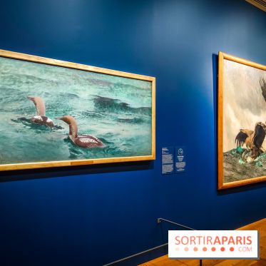 Bruno Liljefors, la Suède sauvage : l'exposition poétique se dévoile en images au Petit Palais