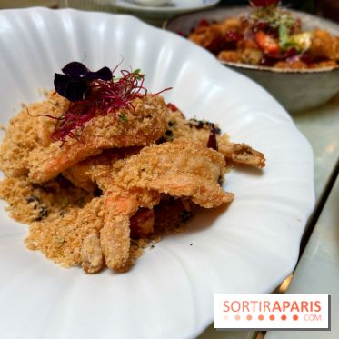 Red Katz - Crevettes Black Tiger