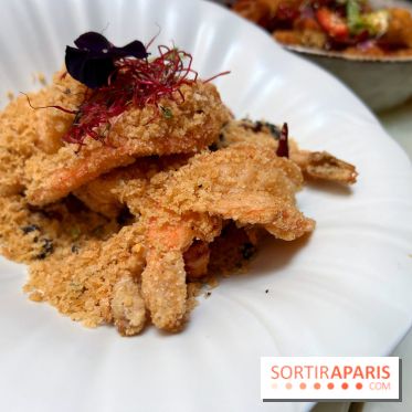 Red Katz - Crevettes Black Tiger