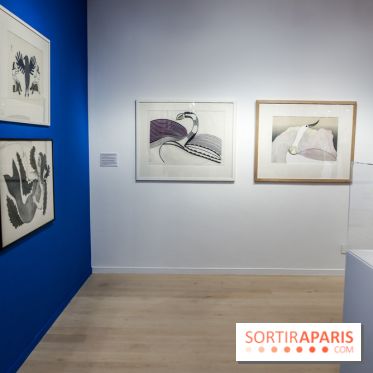 Exposition sur l'art inuit au Centre culturel canadien, nos photos
