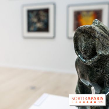 Exposition sur l'art inuit au Centre culturel canadien, nos photos