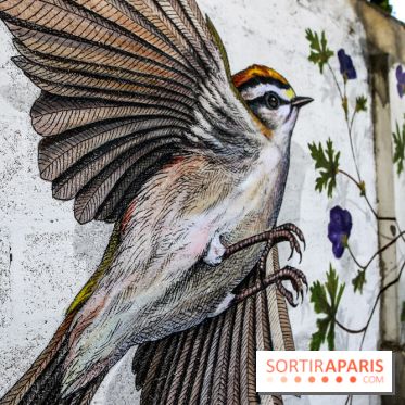 L'usine fait le mur, nos photos du festival de street art dans le 94 - IMG 6220