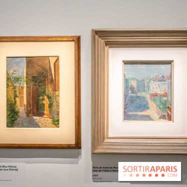 Exposition Tarsila do Amaral au Musée du Luxembourg - DSC 1273