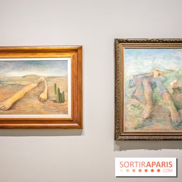 Exposition Tarsila do Amaral au Musée du Luxembourg - DSC 1307